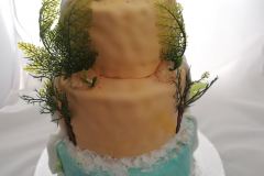 Anniversaire, Cake design, Impression alimentaire - Sweet Mama (Tours 37 - Indre-et-Loire)