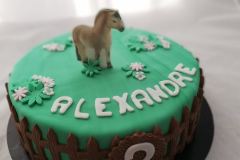 Anniversaire, Cake design, Impression alimentaire - Sweet Mama (Tours 37 - Indre-et-Loire)